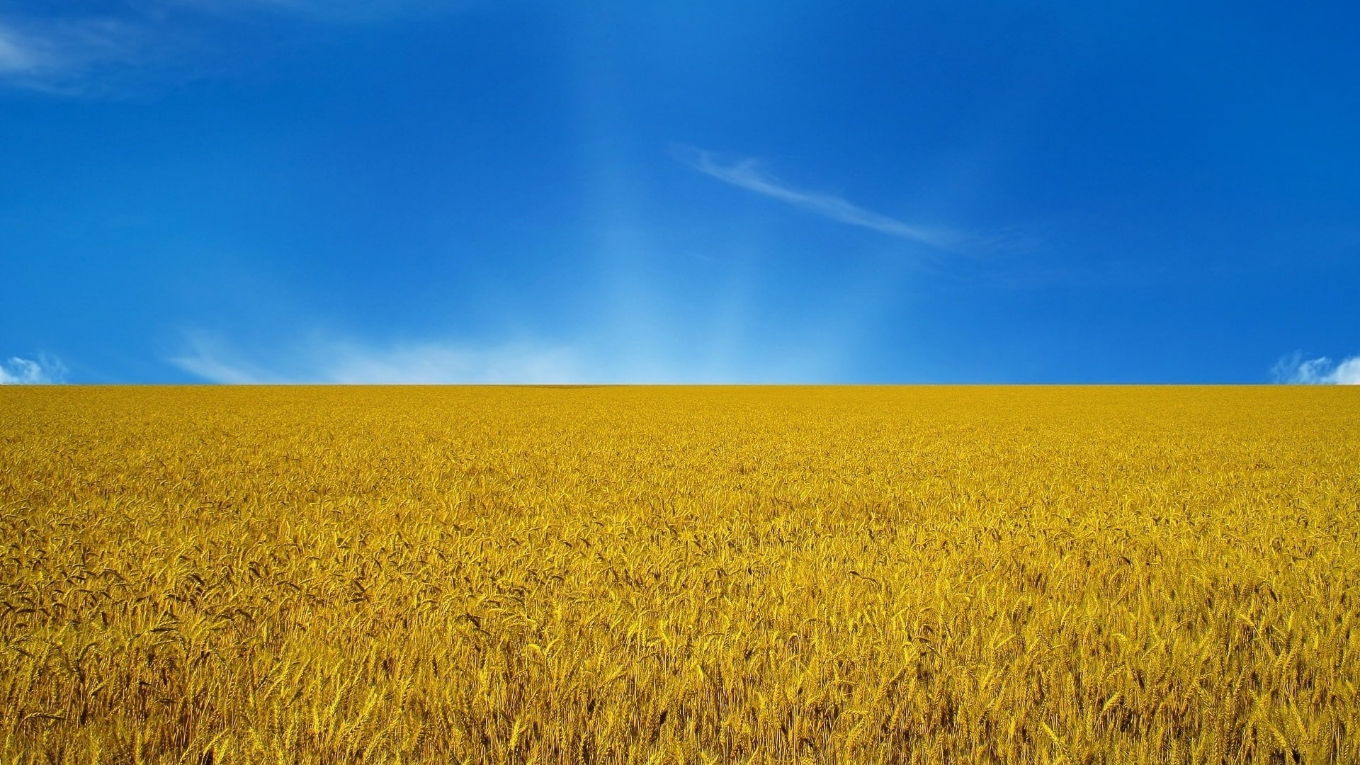 Здесь живет твой оберег